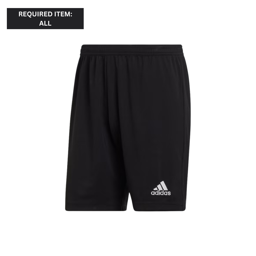 Training Short