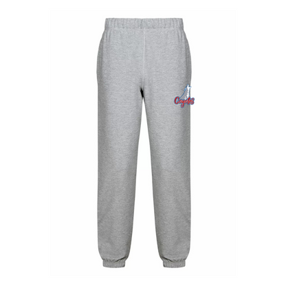 Fleece Jogger