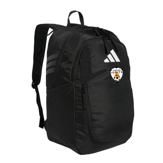 Stadium Backpack