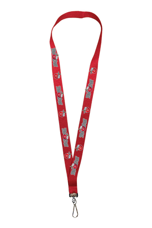 Lanyard